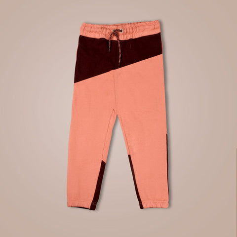 Boys Color Block Dark Maroon Trouser