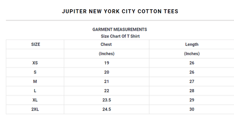 Jupiter New York City cotton tee